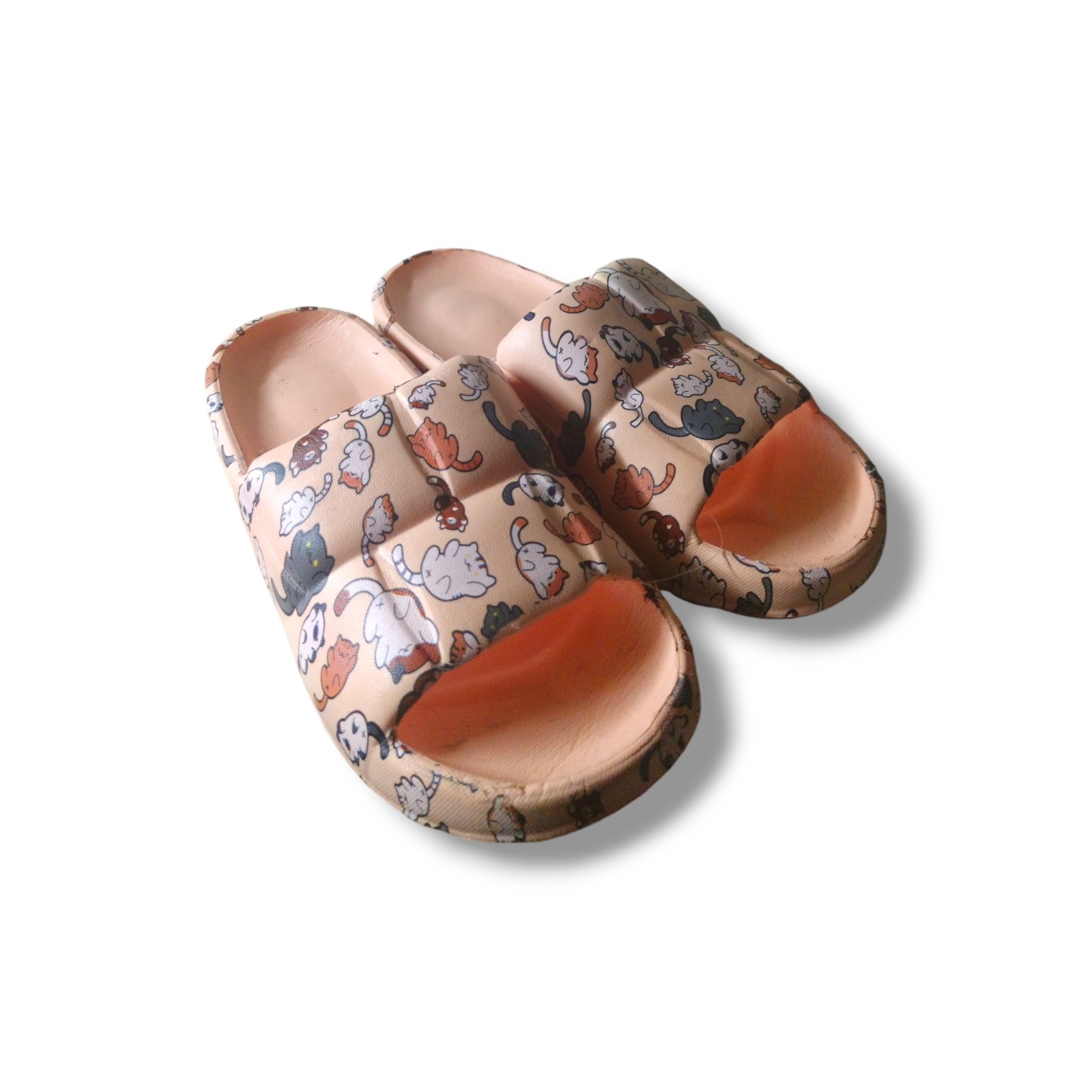 TN 191-1 (40-45) 60pairs (mix colours) - Image 5